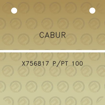 cabur-x756817-ppt-100