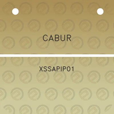 cabur-xssapip01