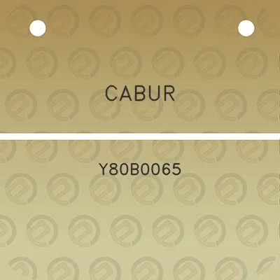 cabur-y80b0065