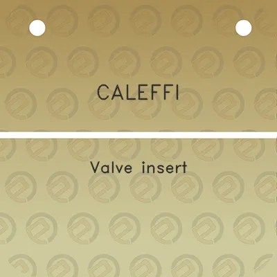 caleffi-valve-insert