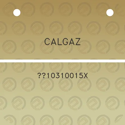 calgaz-10310015x