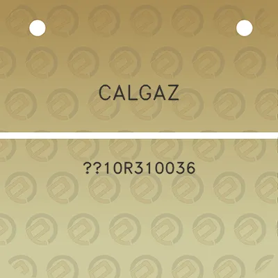 calgaz-10r310036