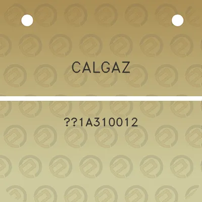 calgaz-1a310012