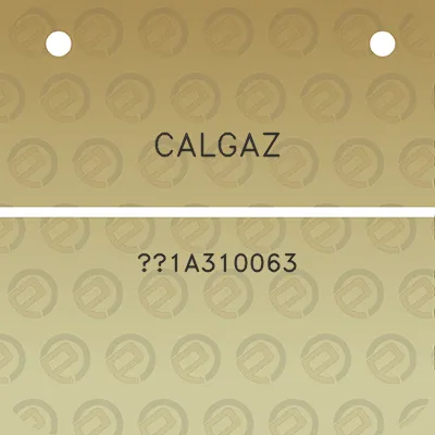 calgaz-1a310063