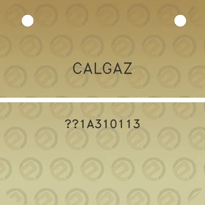 calgaz-1a310113