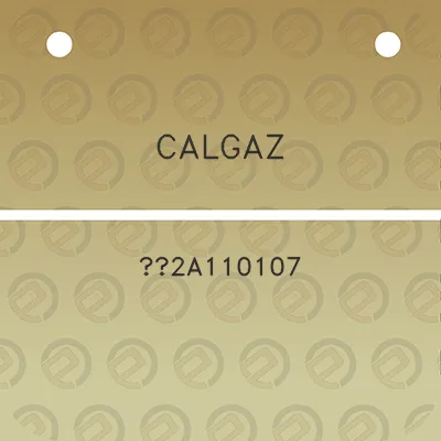 calgaz-2a110107