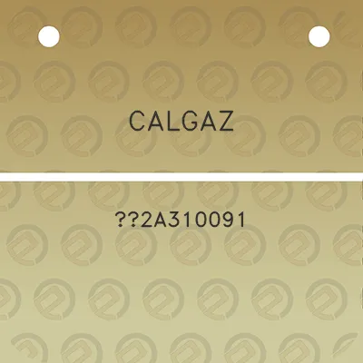 calgaz-2a310091