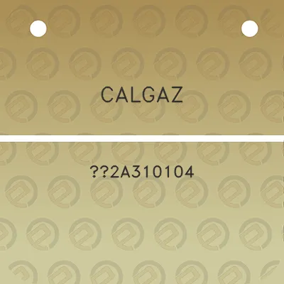 calgaz-2a310104