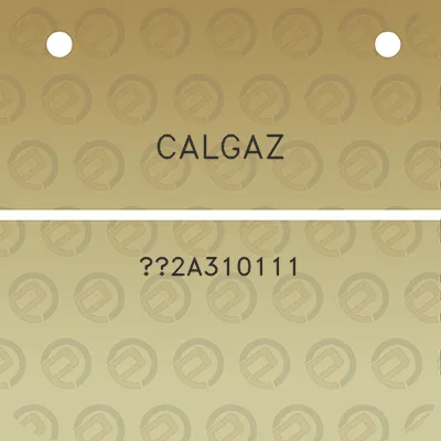 calgaz-2a310111