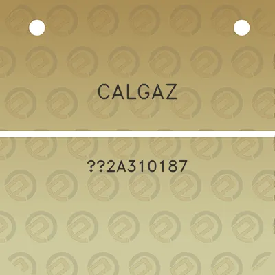 calgaz-2a310187