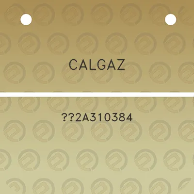 calgaz-2a310384