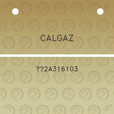 calgaz-2a316103