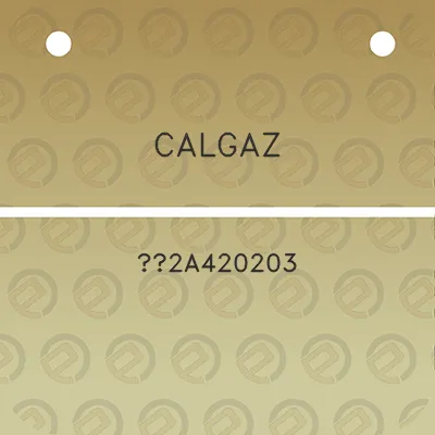 calgaz-2a420203