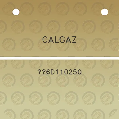 calgaz-6d110250