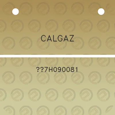 calgaz-7h090081