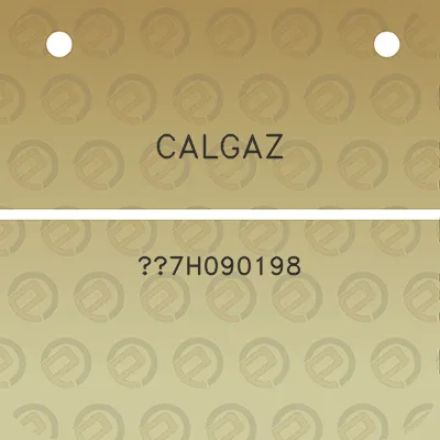 calgaz-7h090198