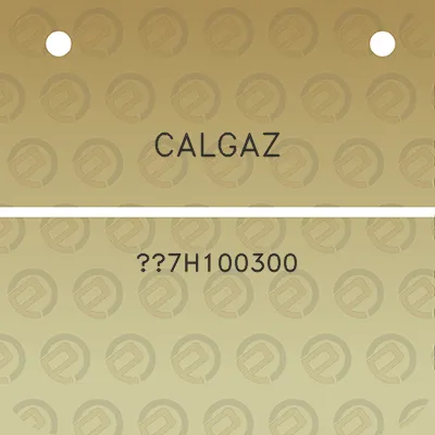 calgaz-7h100300