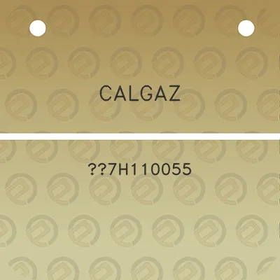 calgaz-7h110055