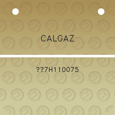 calgaz-7h110075