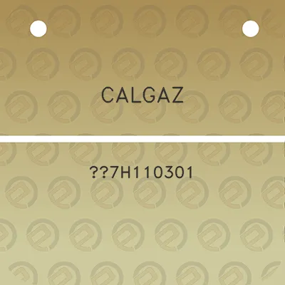 calgaz-7h110301