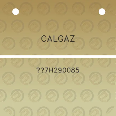 calgaz-7h290085