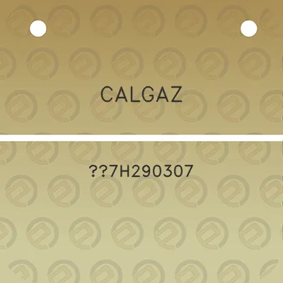 calgaz-7h290307