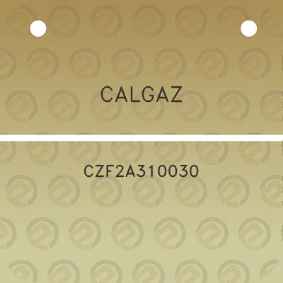 calgaz-czf2a310030