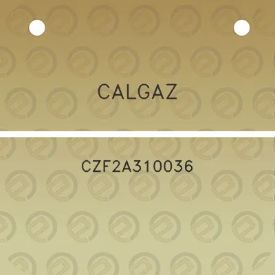 calgaz-czf2a310036