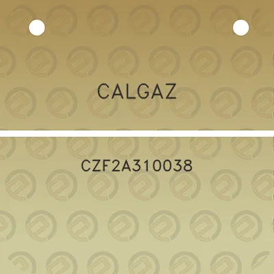 calgaz-czf2a310038