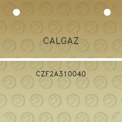 calgaz-czf2a310040