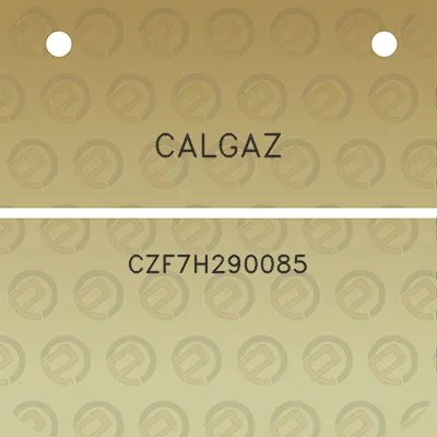 calgaz-czf7h290085