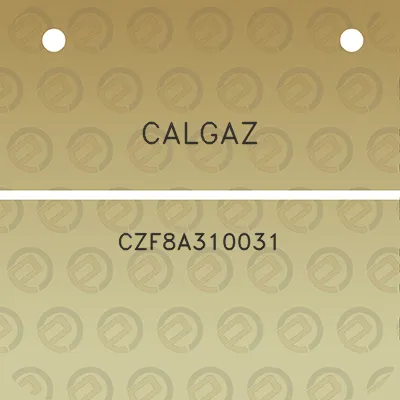 calgaz-czf8a310031