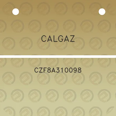 calgaz-czf8a310098