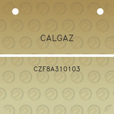 calgaz-czf8a310103