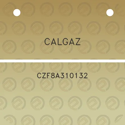 calgaz-czf8a310132