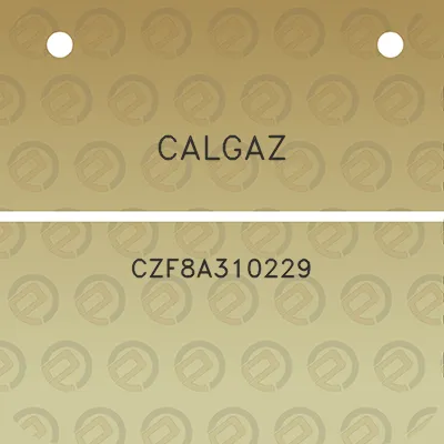 calgaz-czf8a310229