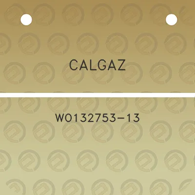 calgaz-wo132753-13