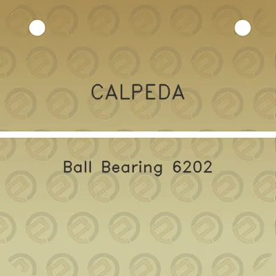 calpeda-ball-bearing-6202