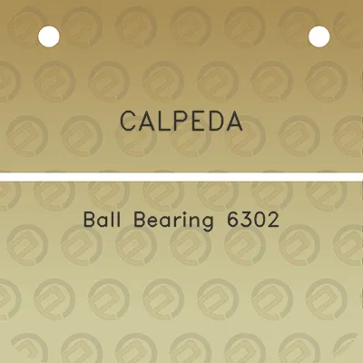 calpeda-ball-bearing-6302