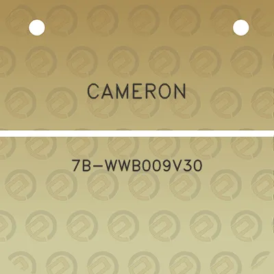 cameron-7b-wwb009v30