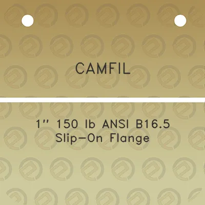 camfil-1-150-lb-ansi-b165-slip-on-flange