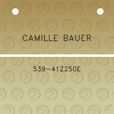 camille-bauer-539-41z250e