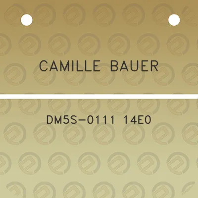 camille-bauer-dm5s-0111-14e0