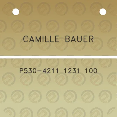 camille-bauer-p530-4211-1231-100