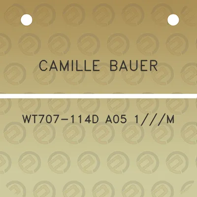 camille-bauer-wt707-114d-a05-1m