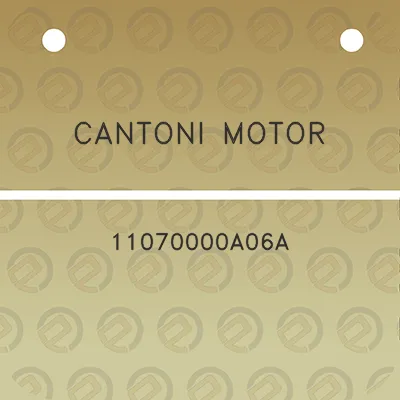 cantoni-motor-11070000a06a