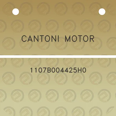 cantoni-motor-1107b004425h0