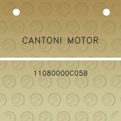 cantoni-motor-11080000c05b