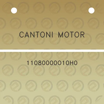 cantoni-motor-11080000o10h0