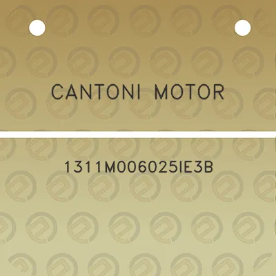 cantoni-motor-1311m006025ie3b